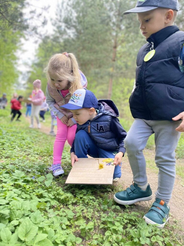 Wiosna i lato na łące - kwiatów tysiące - aktywności na słoneczne i pochmurne dni. 6 0476c10b 5168 43c0 8ba5 709e2444e88a